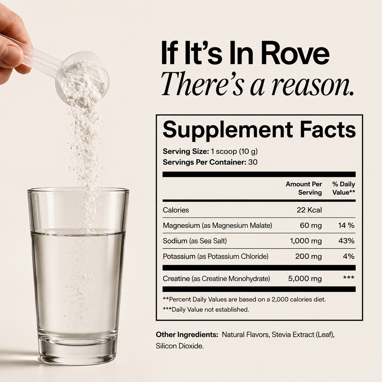 Performance Electrolyte + Creatine Drink Mix